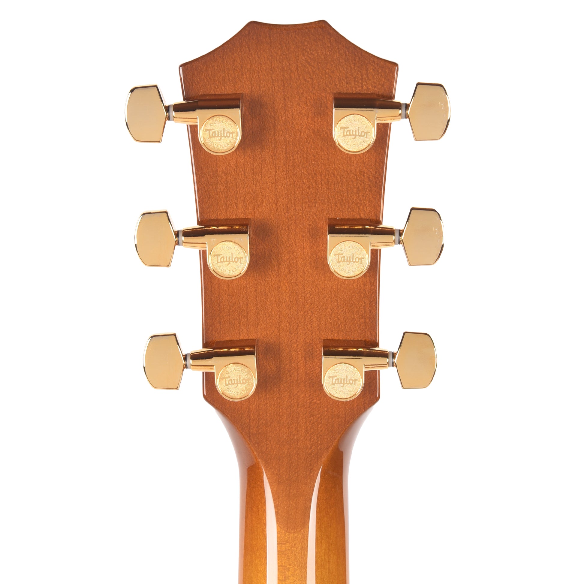 Taylor Special Edition 217e Plus Grand Pacific Torrefied Spruce/Big Leaf Maple Honeyburst ES2 Acoustic Guitars
