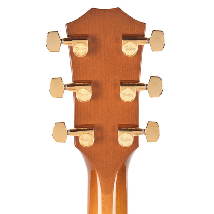 Taylor Special Edition 217e Plus Grand Pacific Torrefied Spruce/Big Leaf Maple Honeyburst ES2 Acoustic Guitars