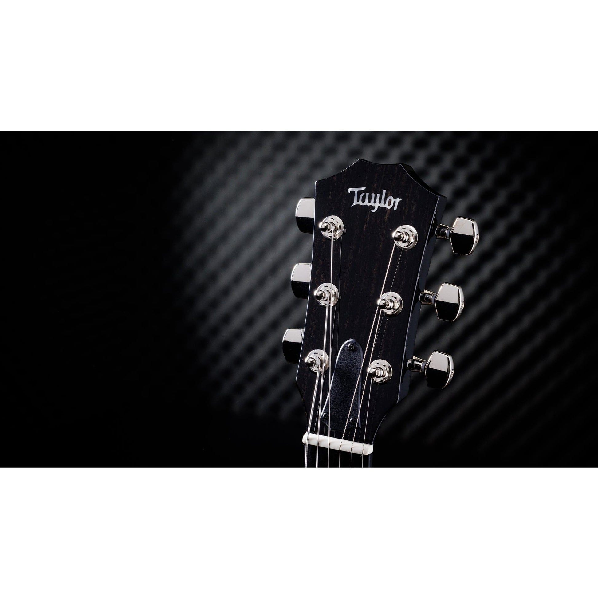 Taylor Custom "Catch" 2023 #033 T5z Figured Big Leaf Maple/Urban Ash Watermelon Supernova Electric Guitars / Hollow Body