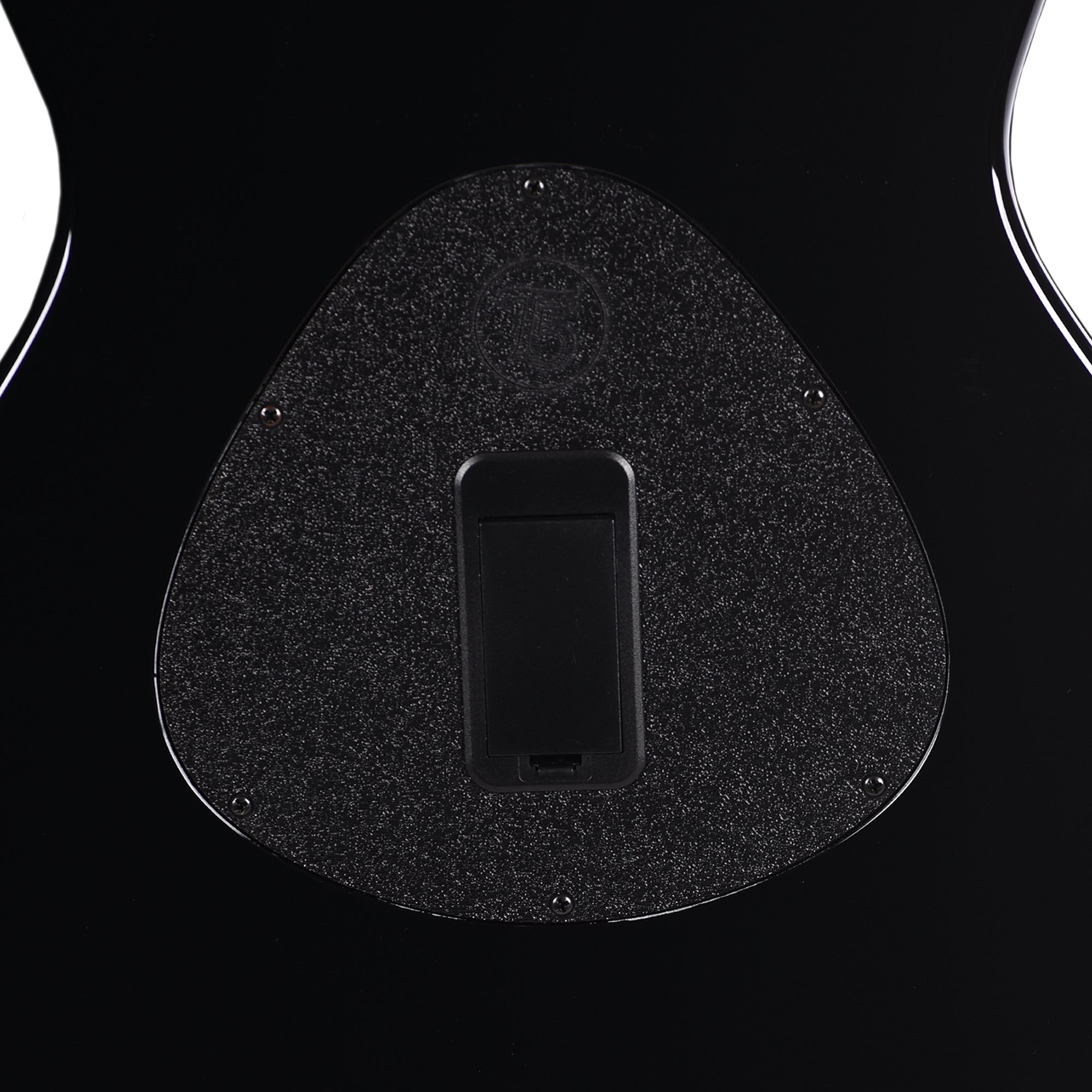 Taylor Custom 