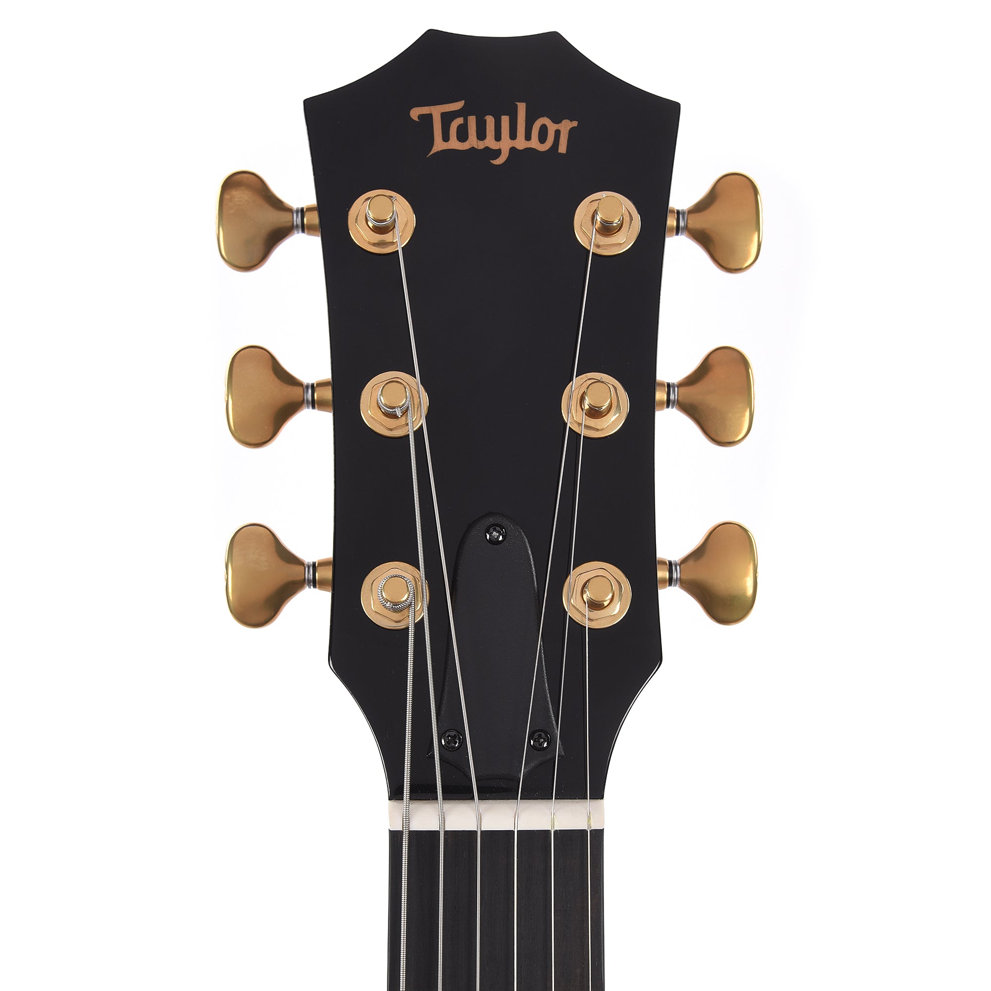 Taylor Custom 
