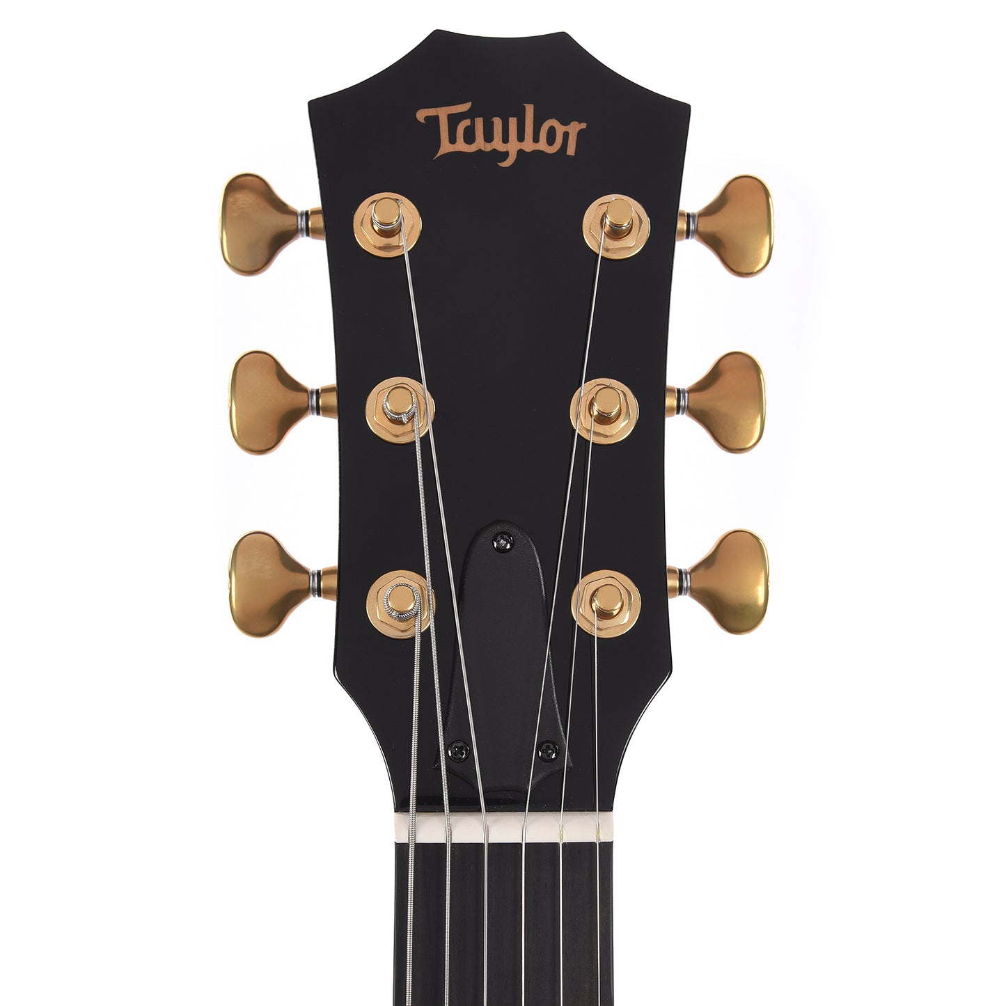 Taylor Custom "The Catch" #27 NAMM 2025 T5z Figured Maple/Urban Ash Antique Blond w/Black Back Electric Guitars / Semi-Hollow