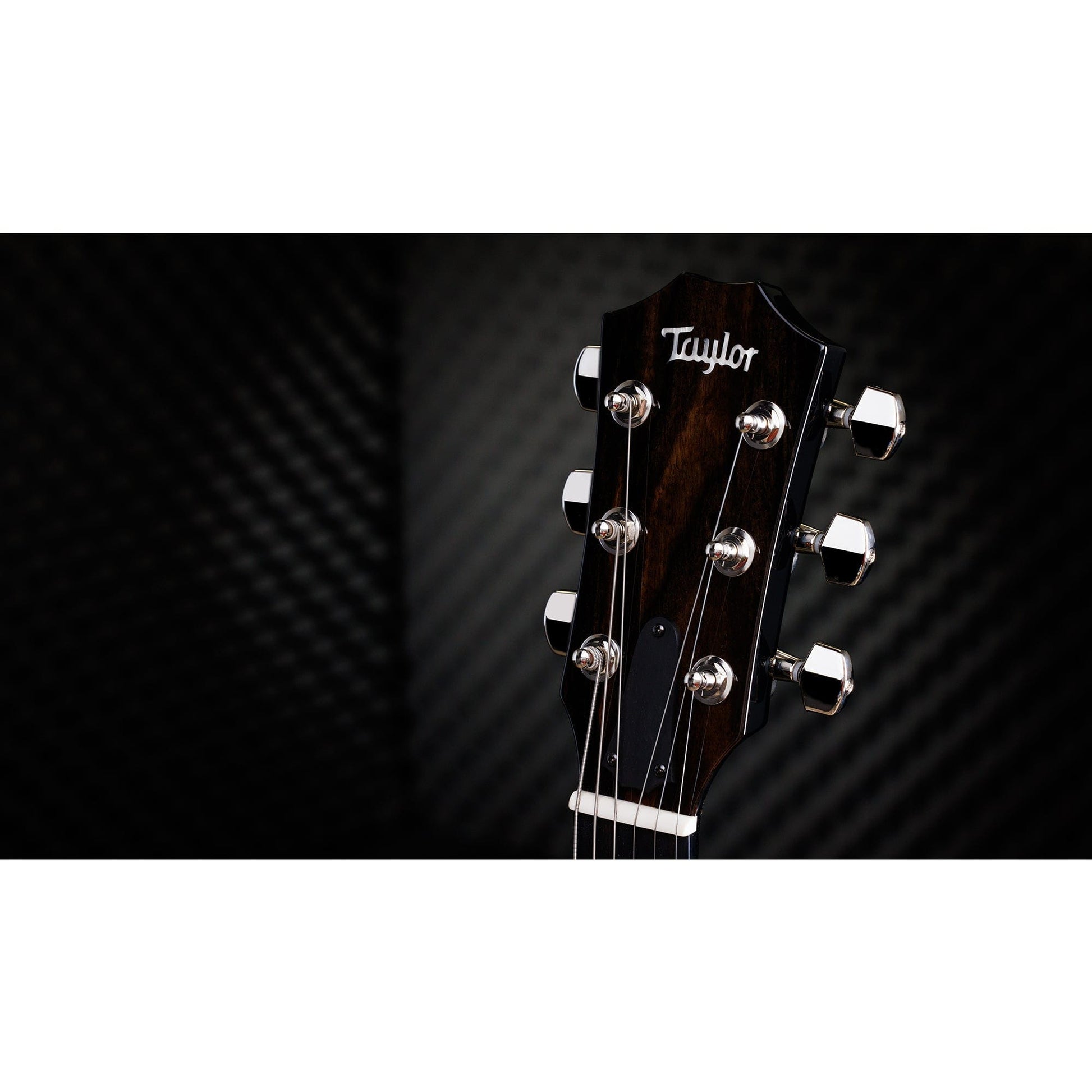 Taylor Custom "The Catch" NAMM 2024 #37 T5z Smokey Maple/Urban Ash Midnight Sapphire w/Shaded Edgeburst Body Electric Guitars / Semi-Hollow