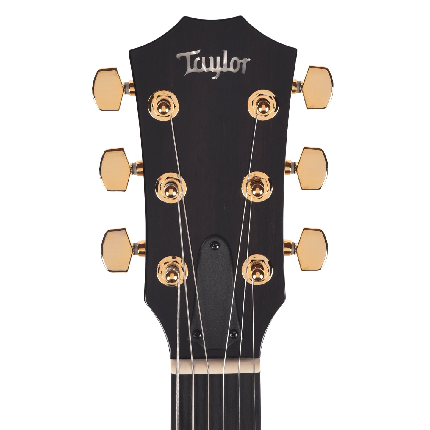 Taylor T5z Custom Hawaiian Koa Shaded Edgeburst Electric Guitars