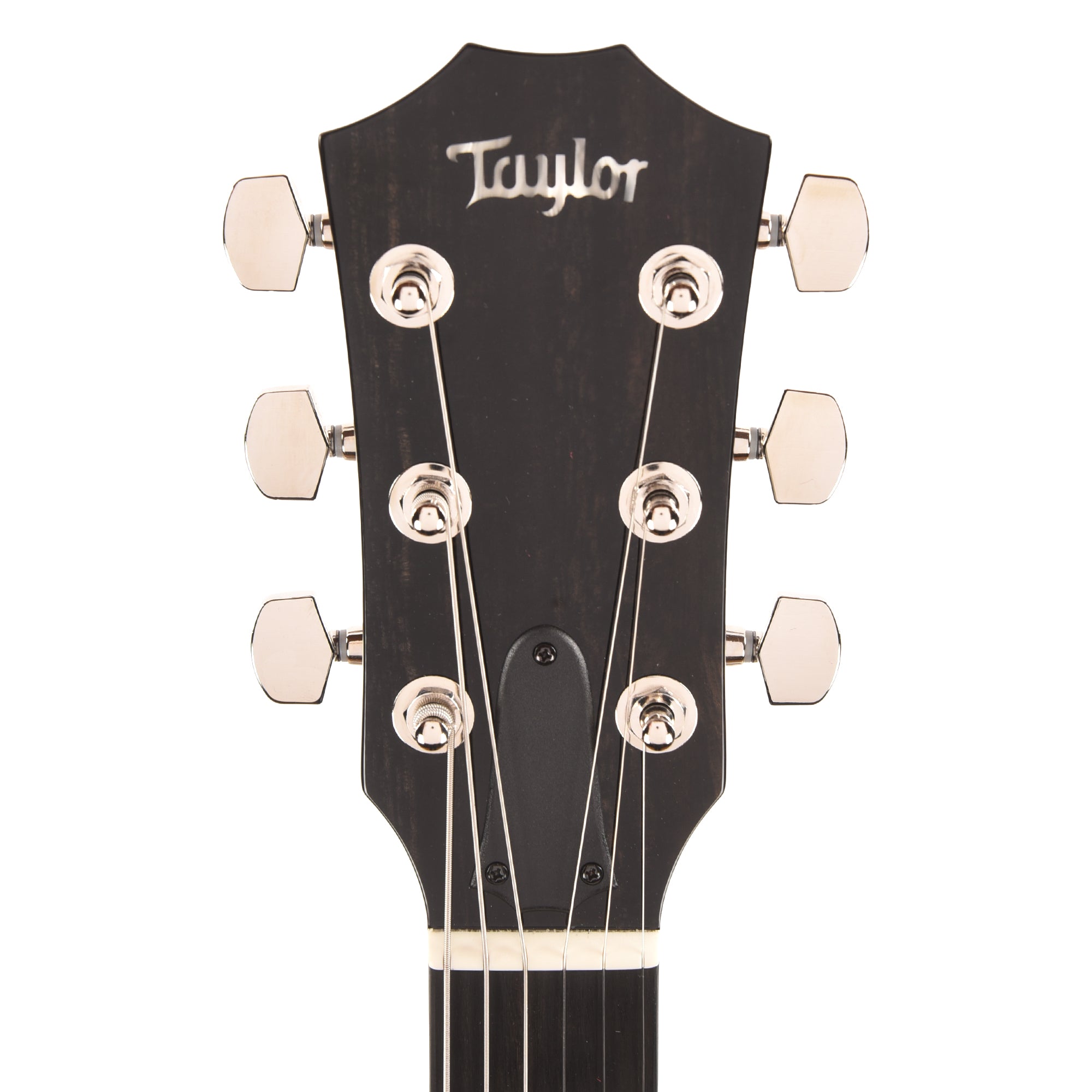 Taylor T5z Pro Figured Big Leaf Maple Harbor Blue Electric Guitars