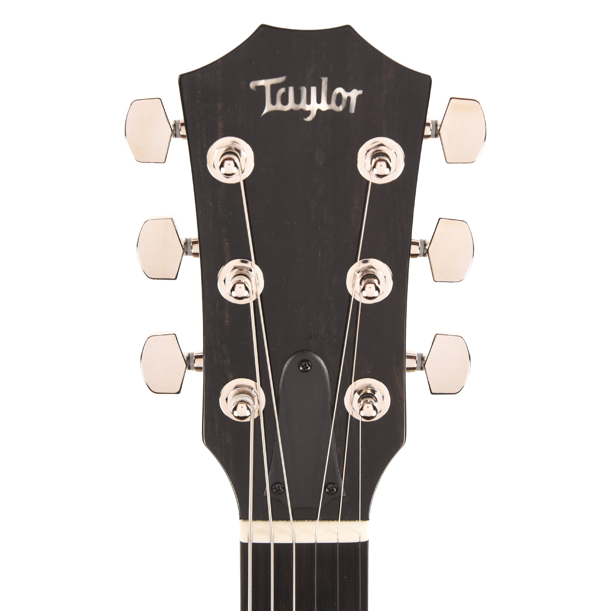 Taylor T5z Pro Figured Big Leaf Maple Harbor Blue Electric Guitars