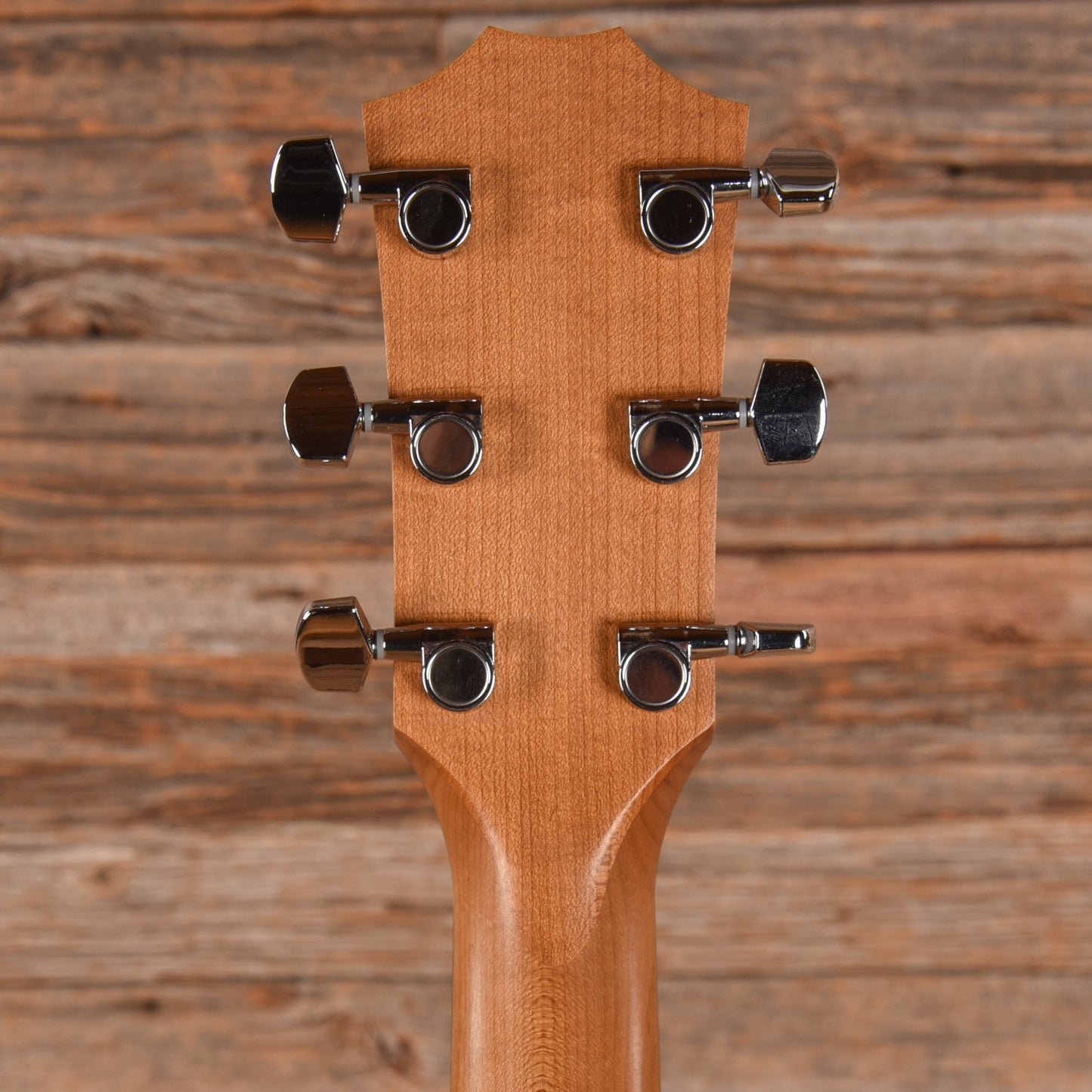 Taylor 114ce Natural 2024