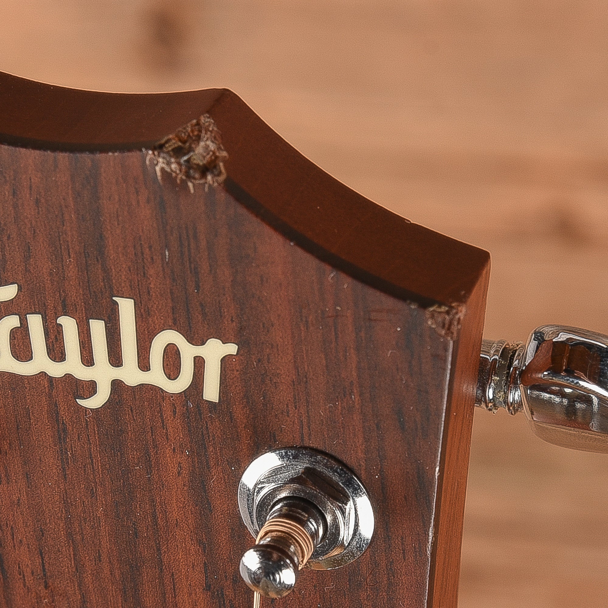 Taylor 310 Natural 2003