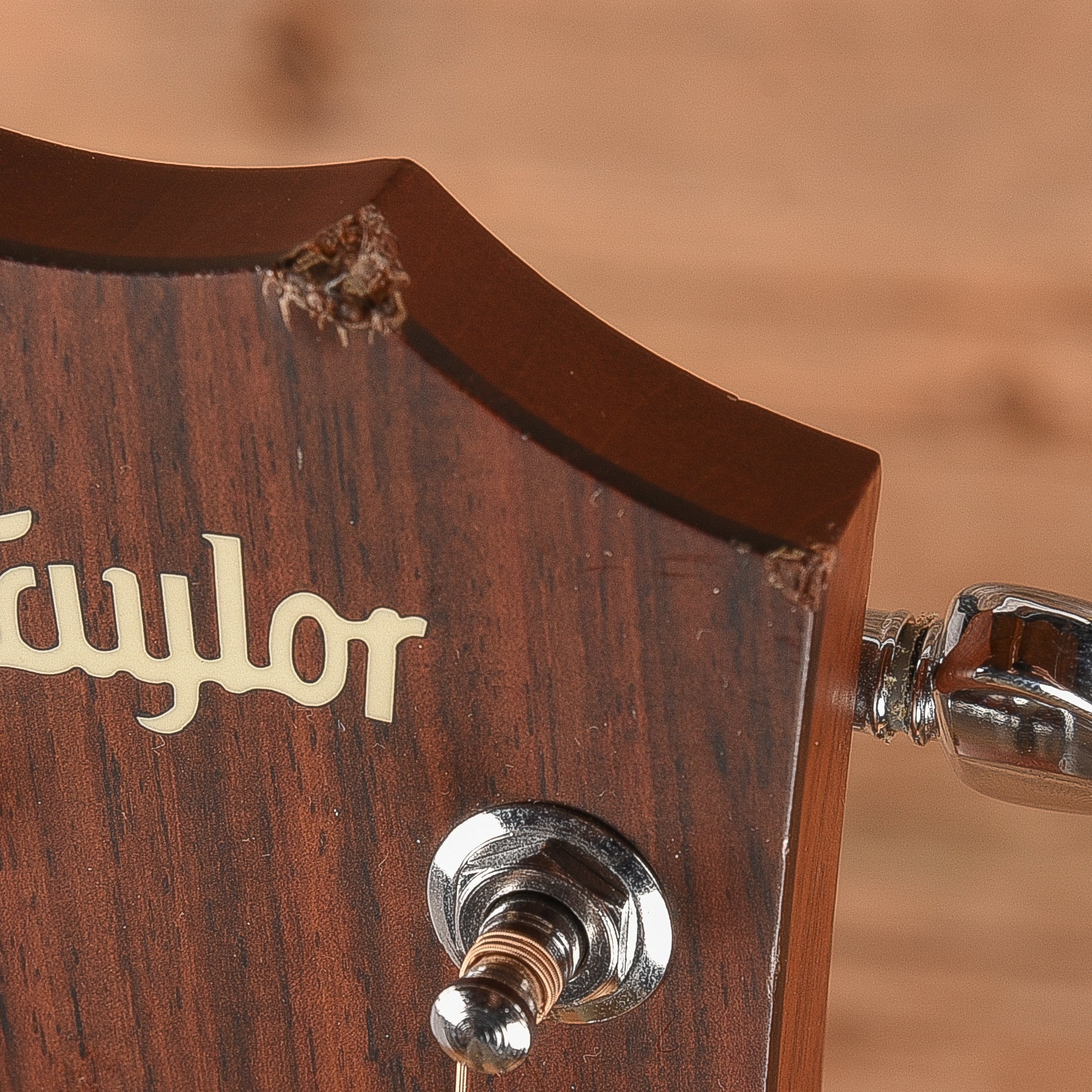 Taylor 310 Natural 2003