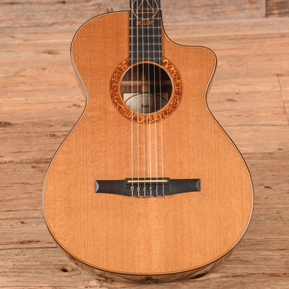 Taylor Jason Mraz Signature Natural 2010 - Zac Brown