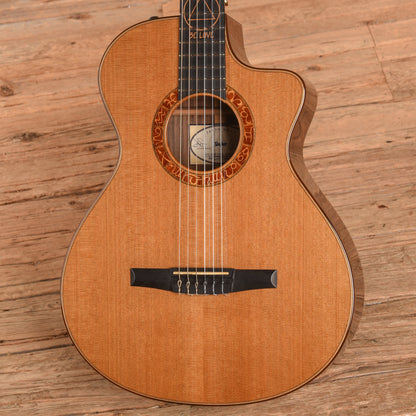 Taylor Jason Mraz Signature Natural 2010 - Zac Brown