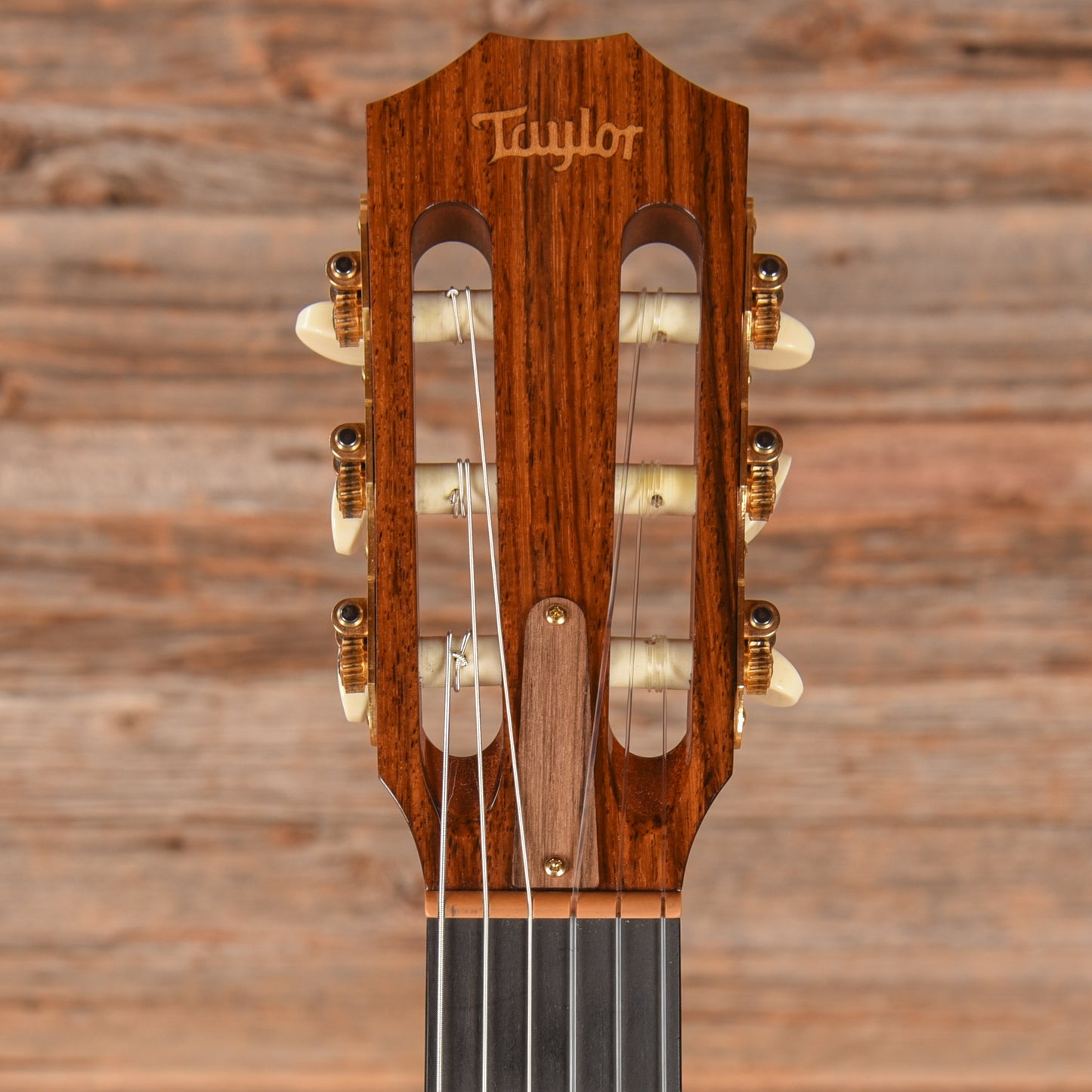 Taylor NSGA Natural 2011 - Zac Brown