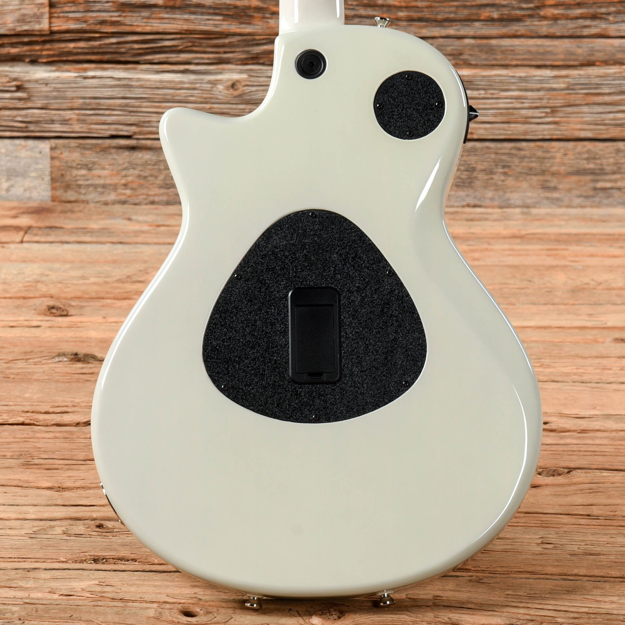 Taylor T5z Standard White 2022