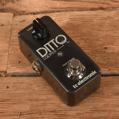 TC Electronic Ditto Looper Effects and Pedals / Loop Pedals and Samplers