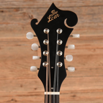 The Loar LM-310F Honey Creek F-Style Mandolin Brown Burst 2018 Folk Instruments / Mandolins