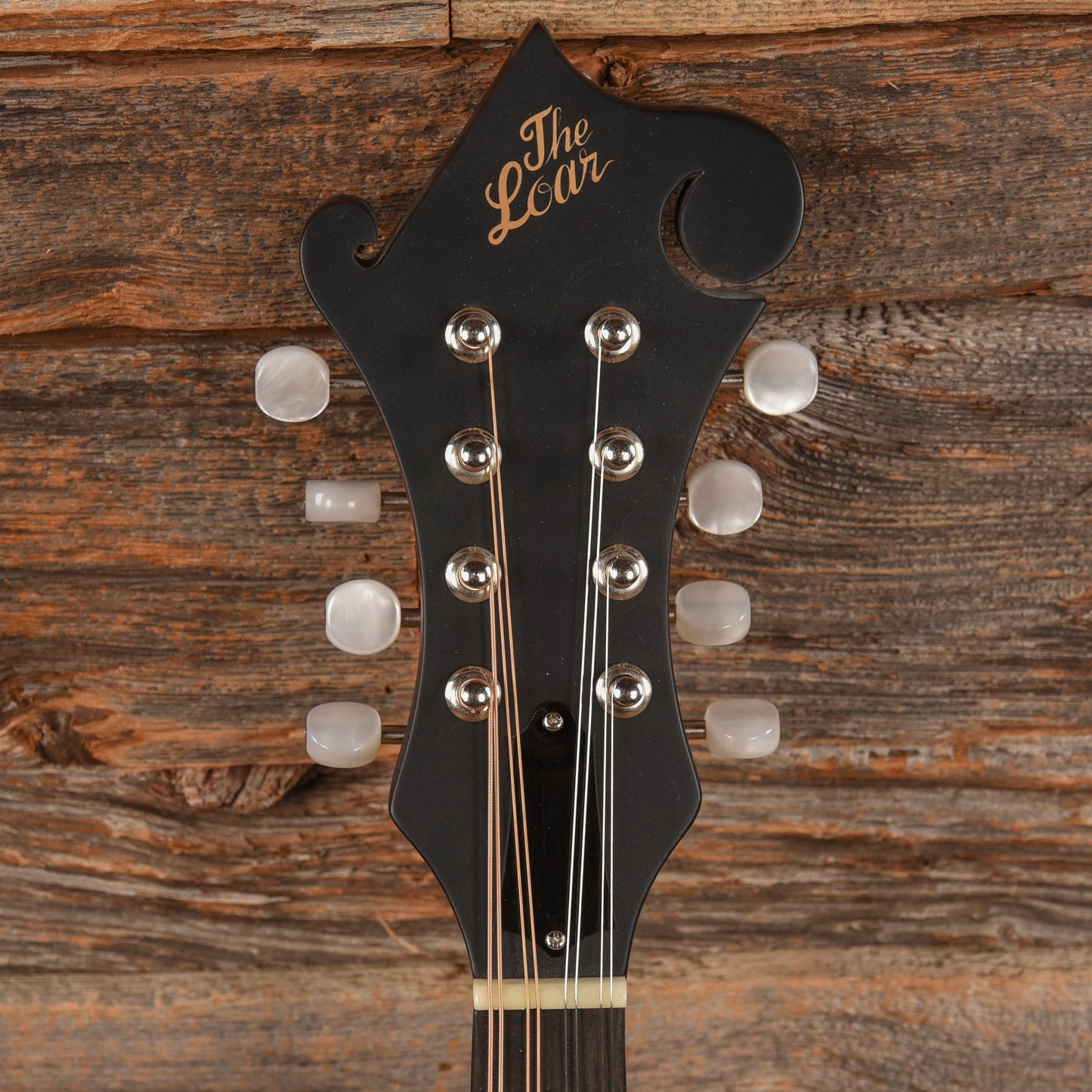 The Loar LM-310F Sunburst Folk Instruments / Mandolins