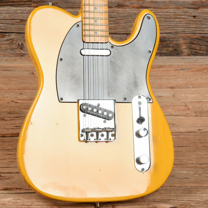 Tokai Goldstar Sound Butterscotch Blonde Electric Guitars / Solid Body