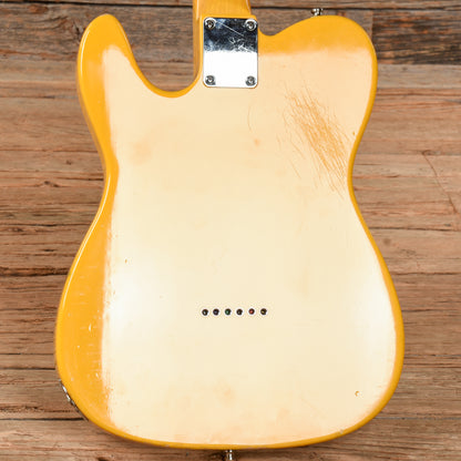 Tokai Goldstar Sound Butterscotch Blonde Electric Guitars / Solid Body