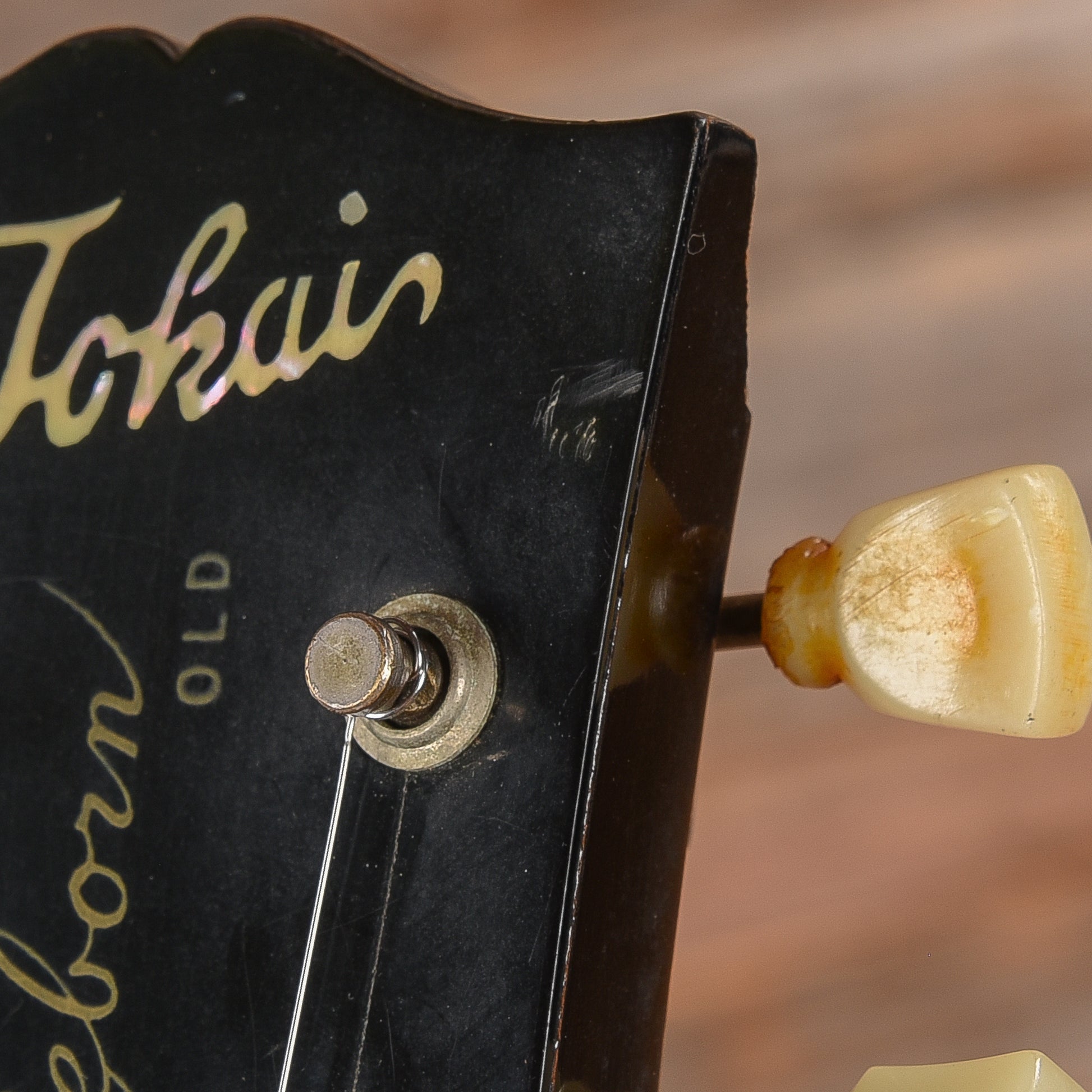 Tokai Reborn Old LS-50 Black Electric Guitars / Solid Body
