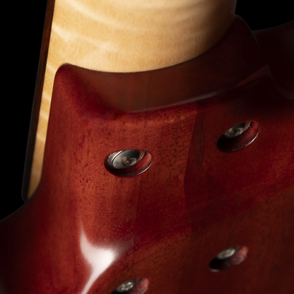 Torzal Genesse Bass (BGS 2026) Bass Guitars
