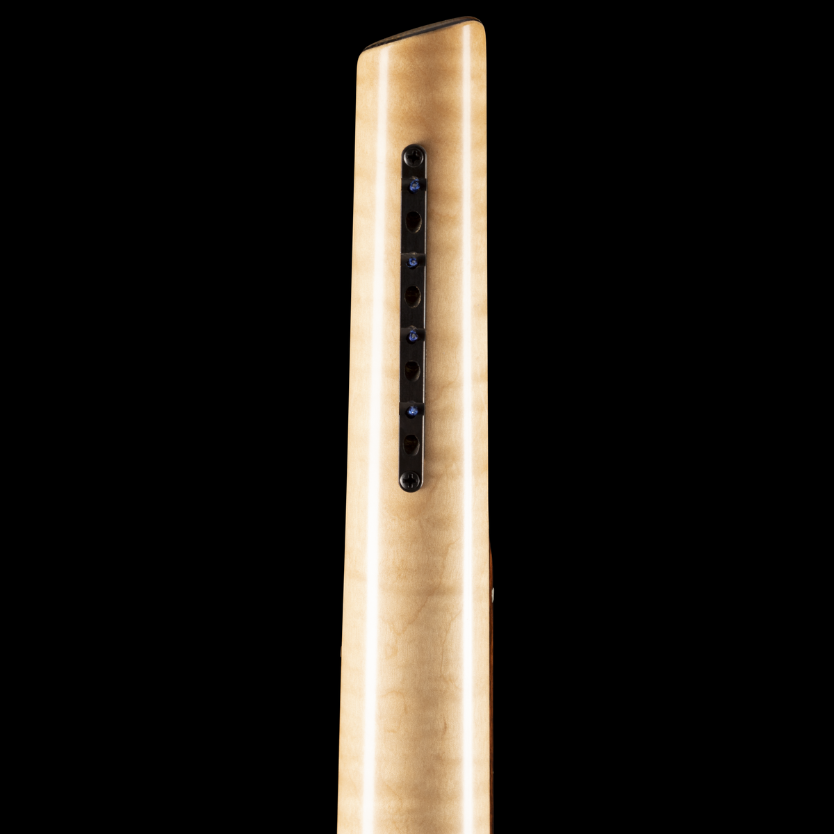 Torzal Genesse Bass (BGS 2026) Bass Guitars