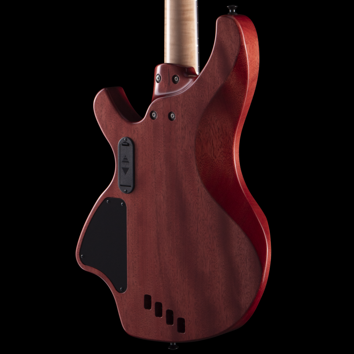 Torzal Genesse Bass (BGS 2026) Bass Guitars