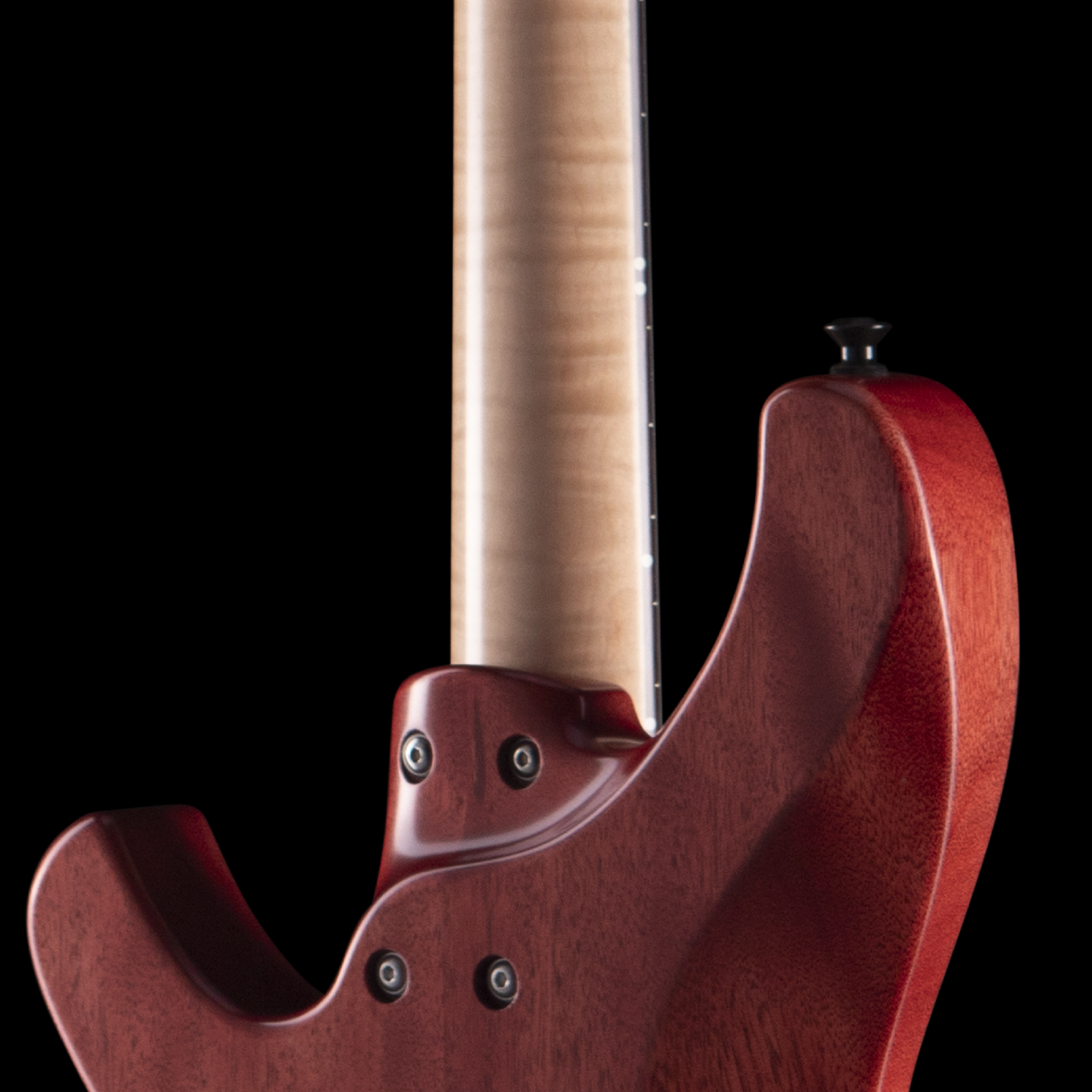 Torzal Genesse Bass (BGS 2026) Bass Guitars