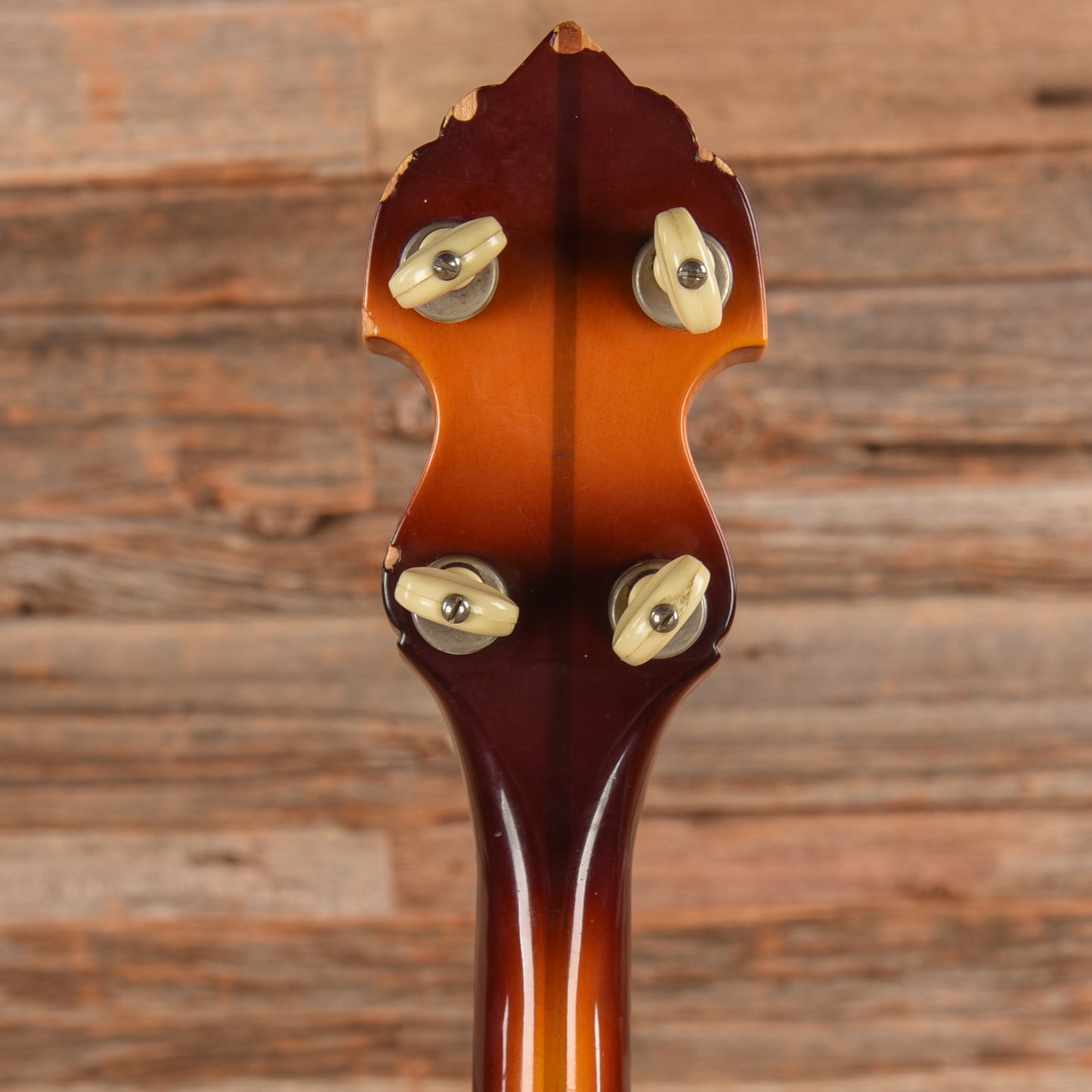 Vega Pete Seeger  1960s Folk Instruments / Banjos