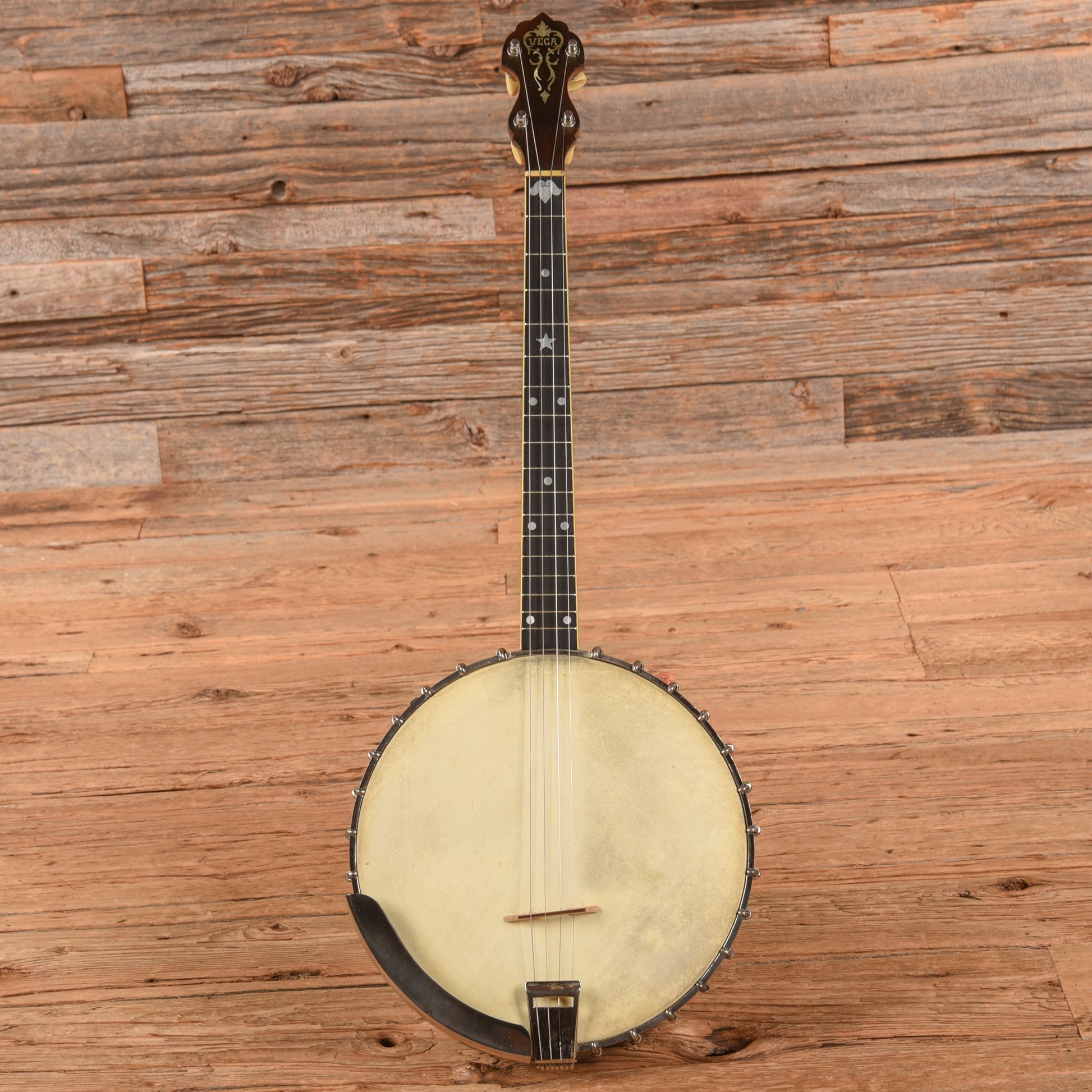 Vega Style M Tenor Banjo  1910 Folk Instruments / Banjos