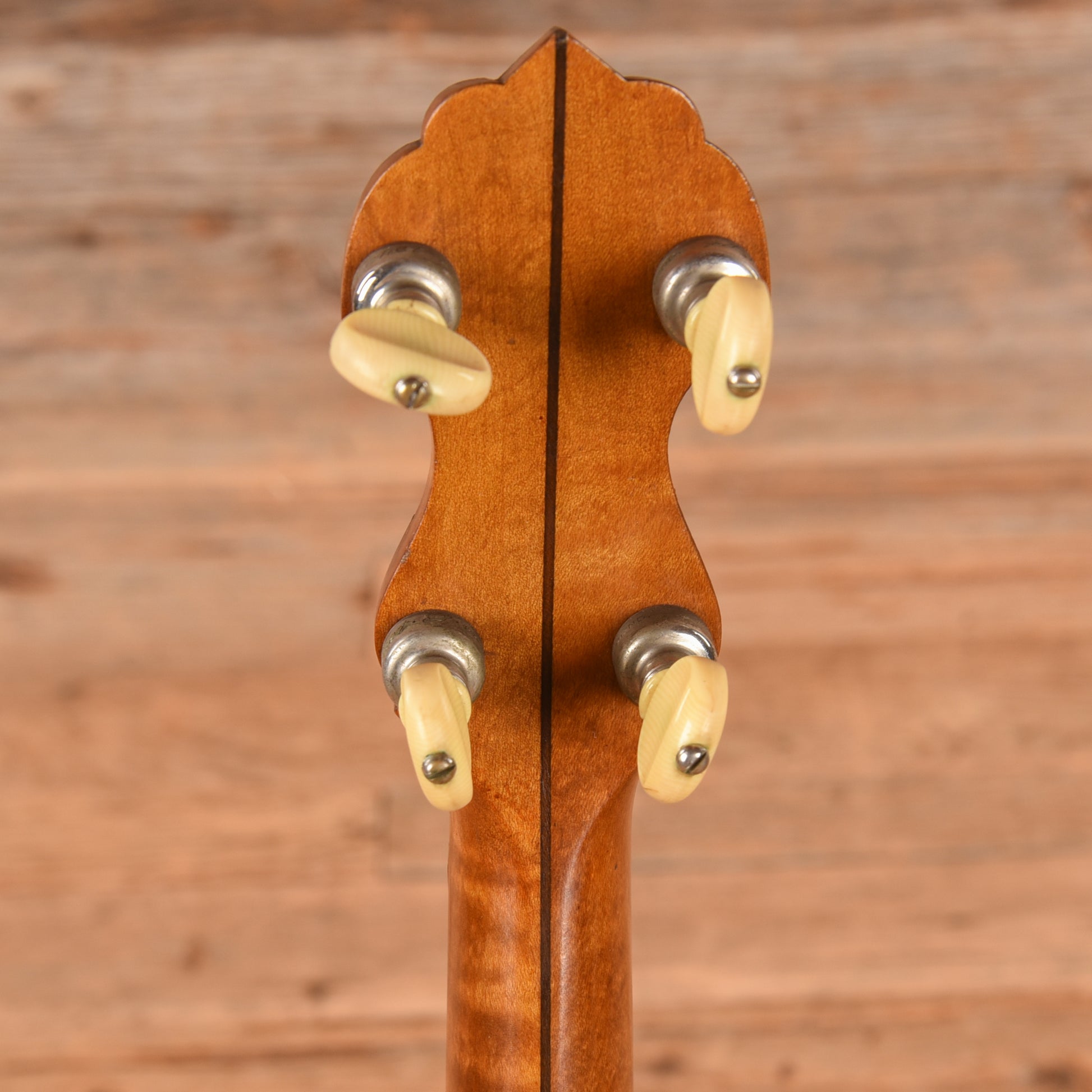 Vega Style M Tenor Banjo  1910 Folk Instruments / Banjos