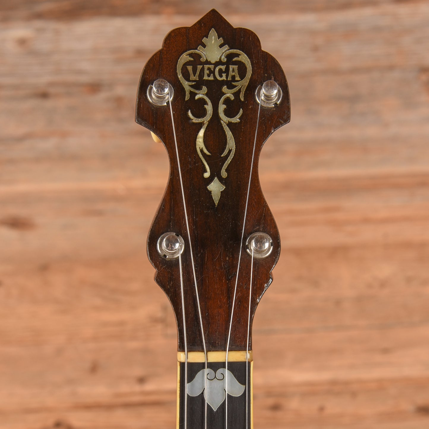 Vega Style M Tenor Banjo  1910 Folk Instruments / Banjos