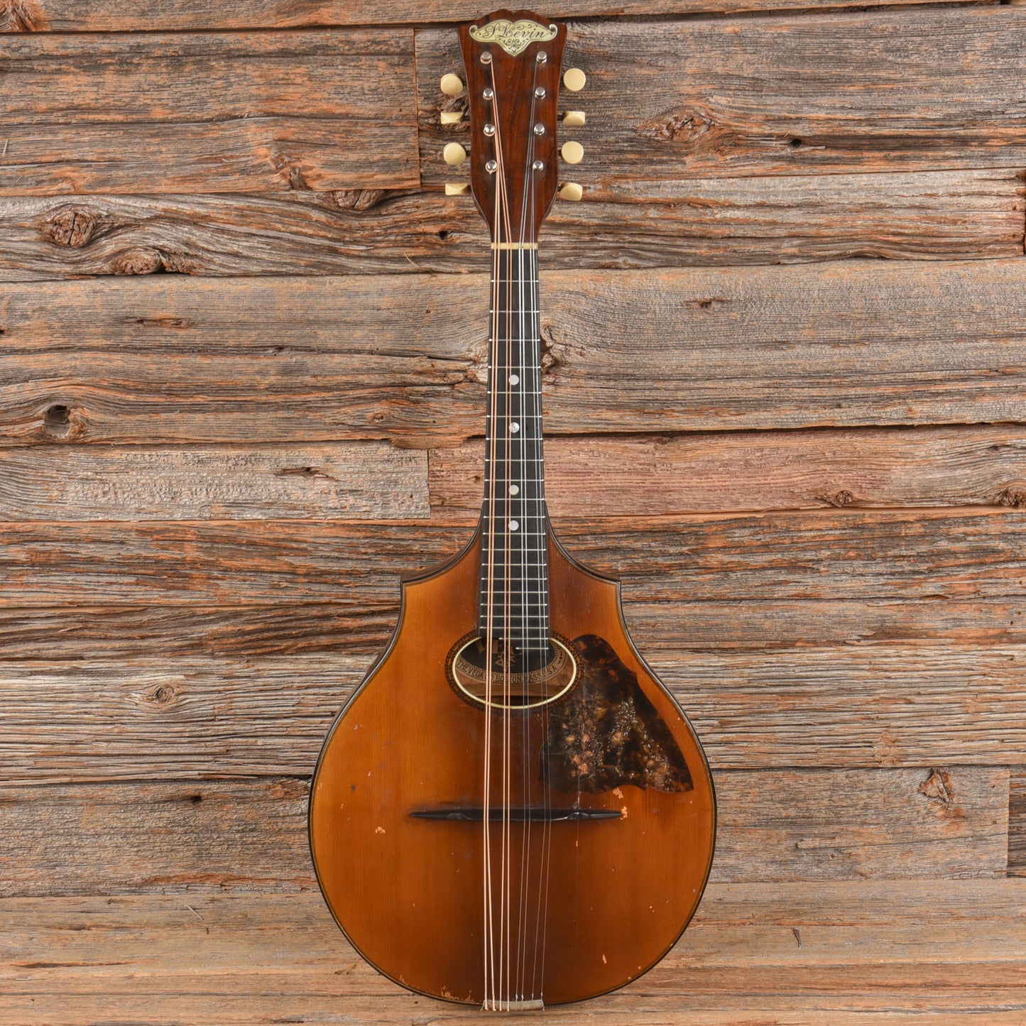 Vega Cylinderback Mandolin Natural 1913 Folk Instruments / Mandolins