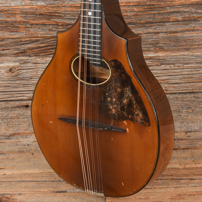Vega Cylinderback Mandolin Natural 1913 Folk Instruments / Mandolins