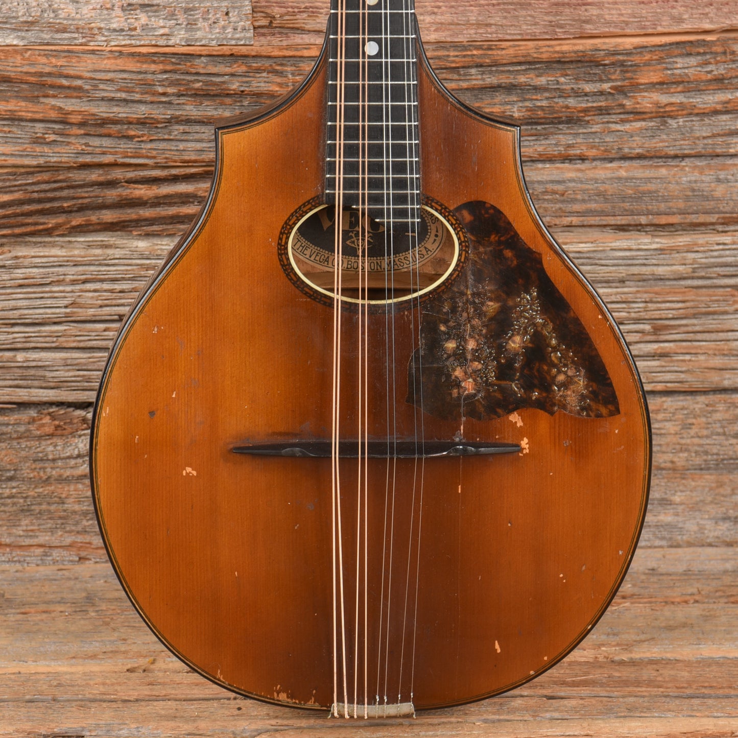 Vega Cylinderback Mandolin Natural 1913 Folk Instruments / Mandolins