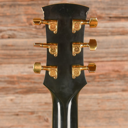Volbrecht Custom Acoustic  1985