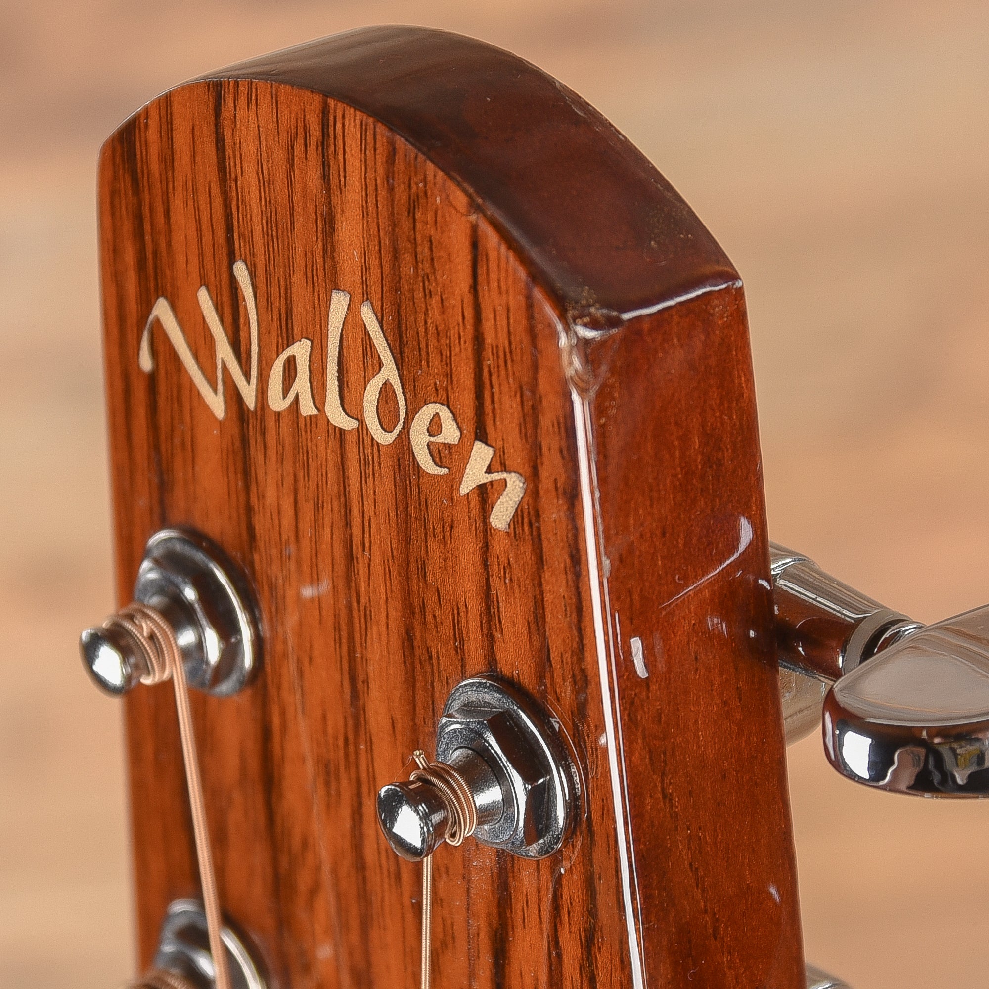Walden D350 Natural Acoustic Guitars / Dreadnought