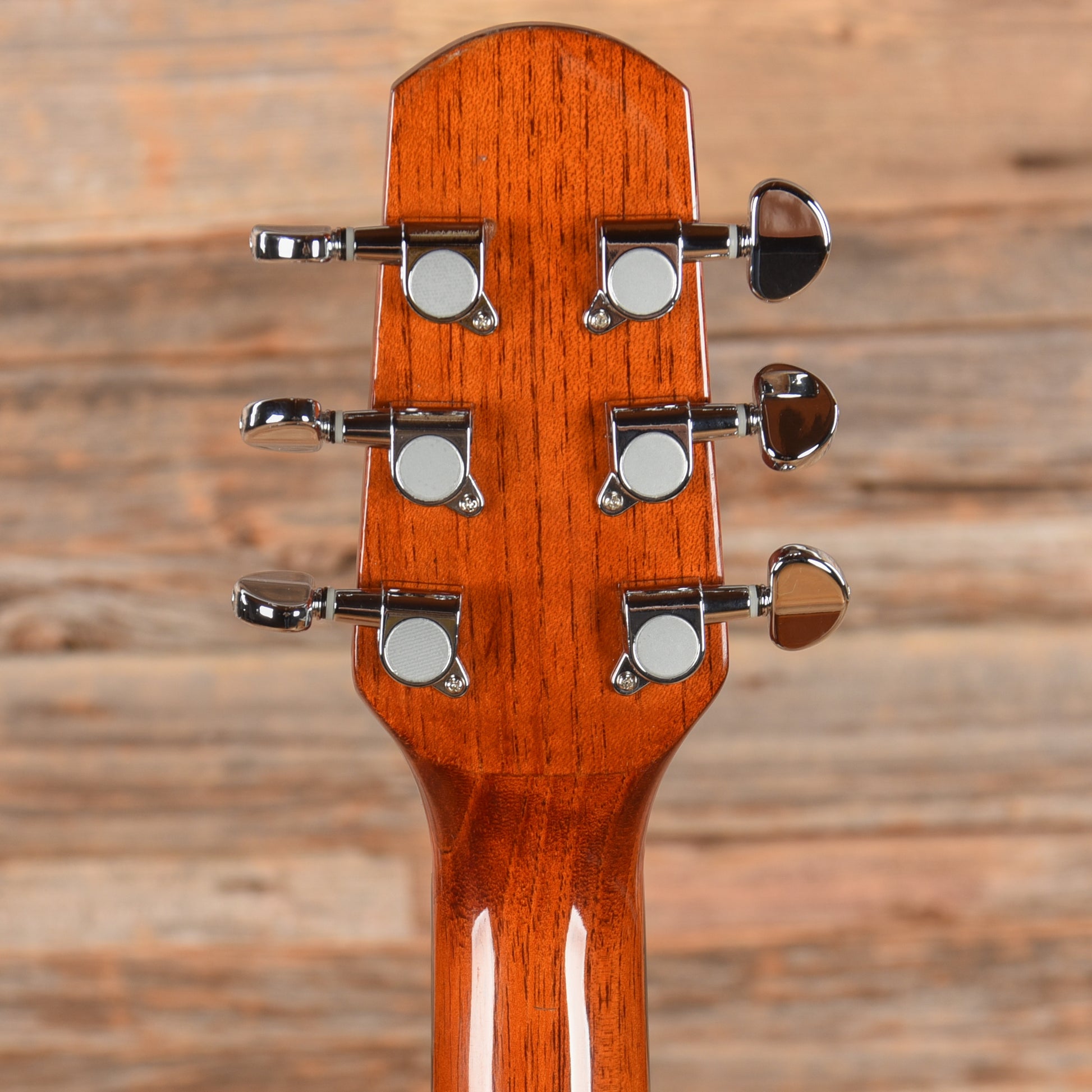 Walden D350 Natural Acoustic Guitars / Dreadnought