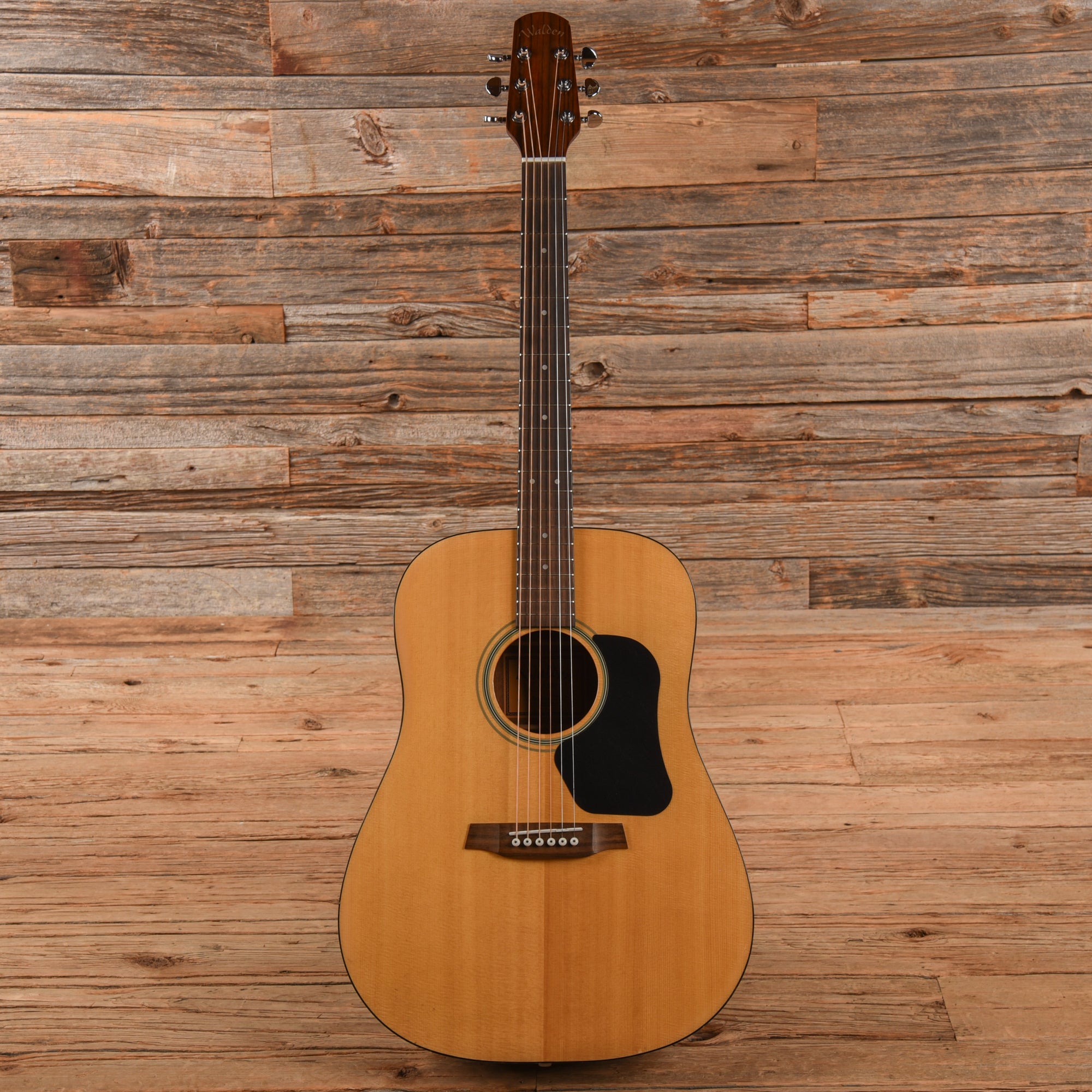 Walden D350 Natural