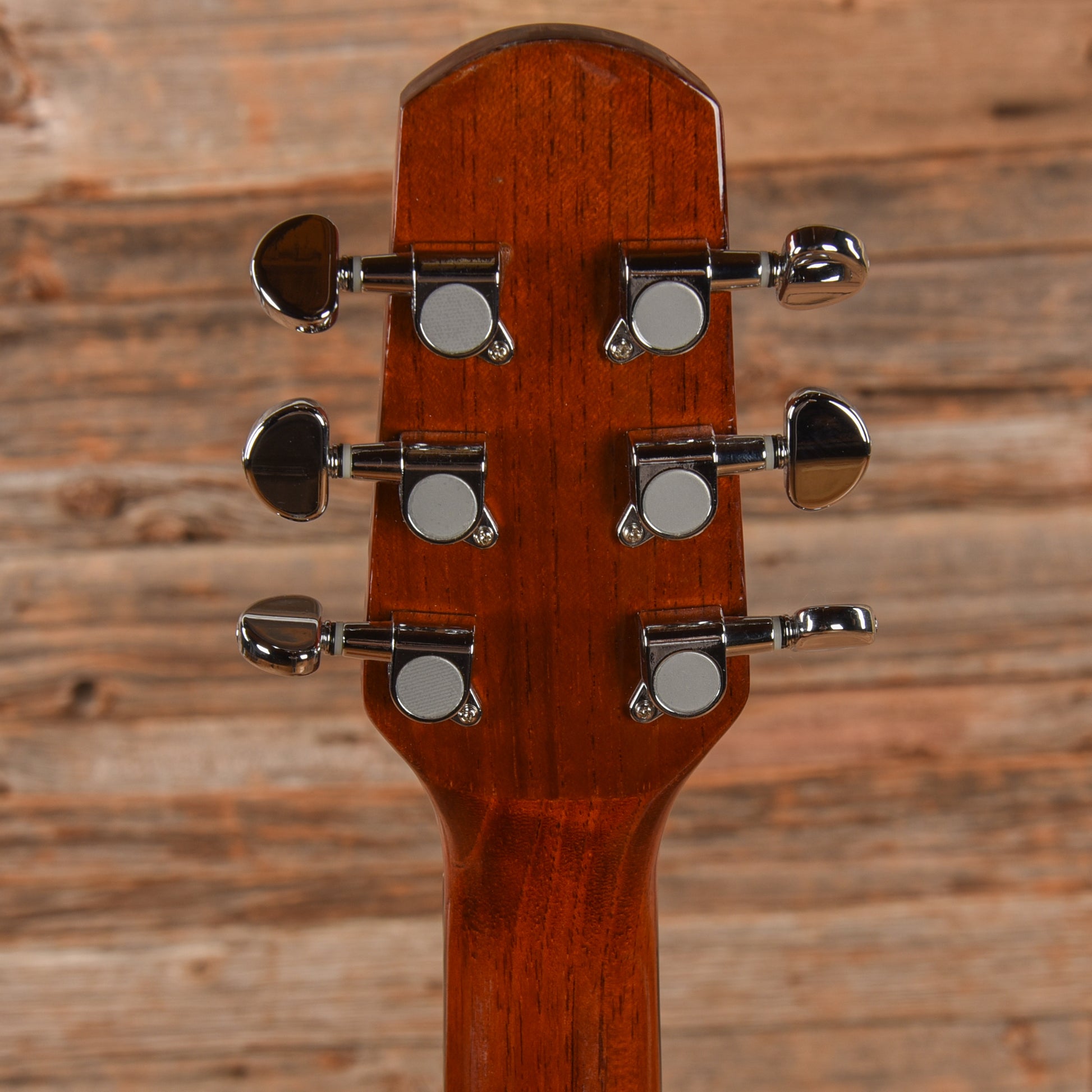 Walden D350 Natural