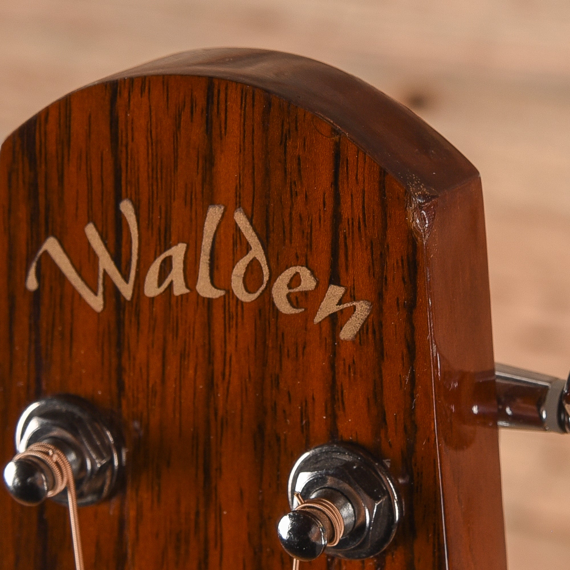 Walden D350 Natural