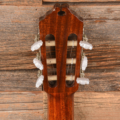 Washburn C64CE Natural Acoustic Guitars / Classical
