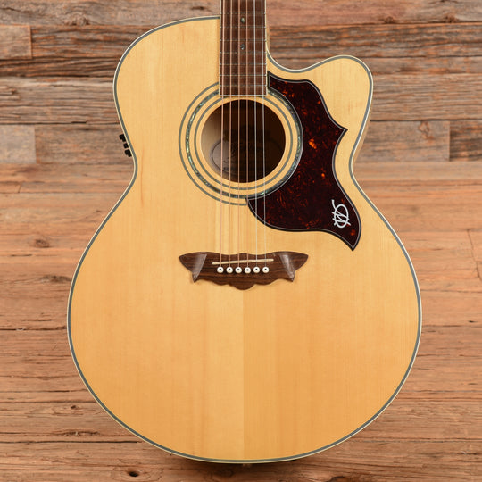 Washburn J28SCE DL Natural 2004 Acoustic Guitars / Jumbo