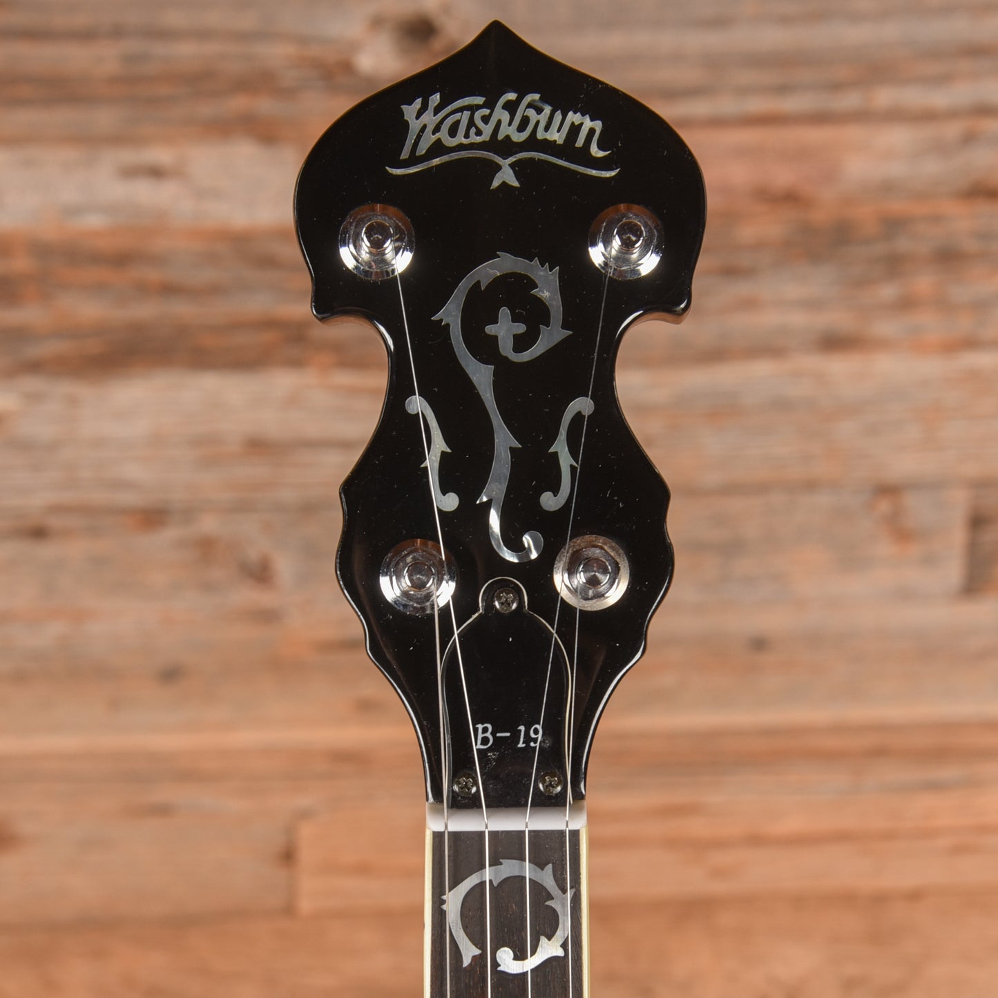 Washburn B-19 Banjos