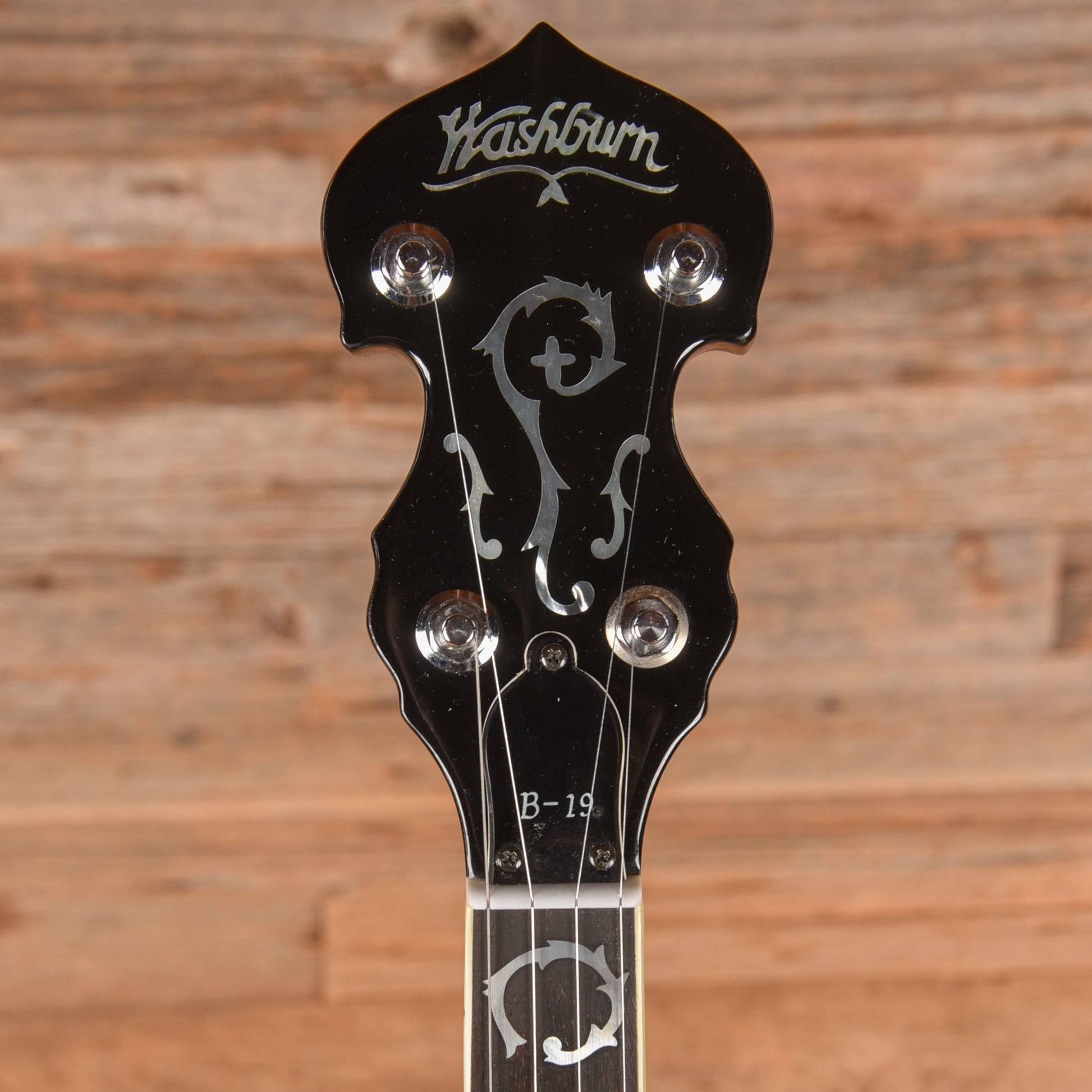 Washburn B-19 Banjos