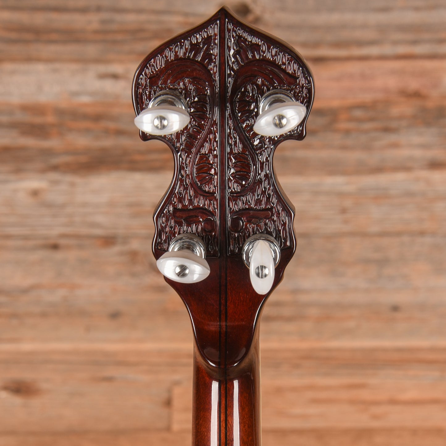 Washburn B-19 Banjos