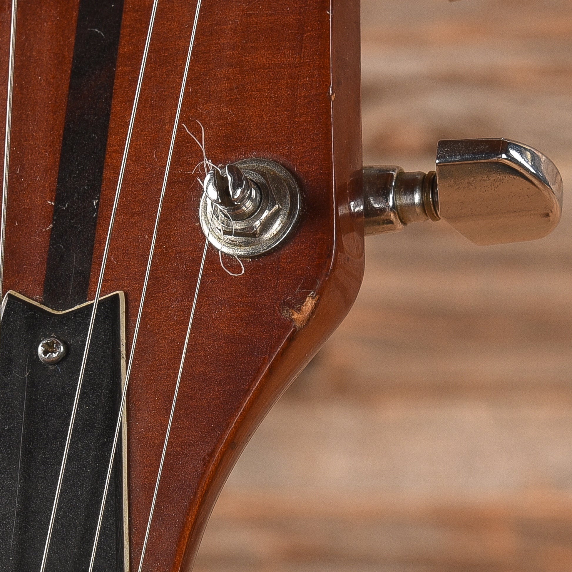 Washburn Hawk Natural 1979 Electric Guitars / Solid Body