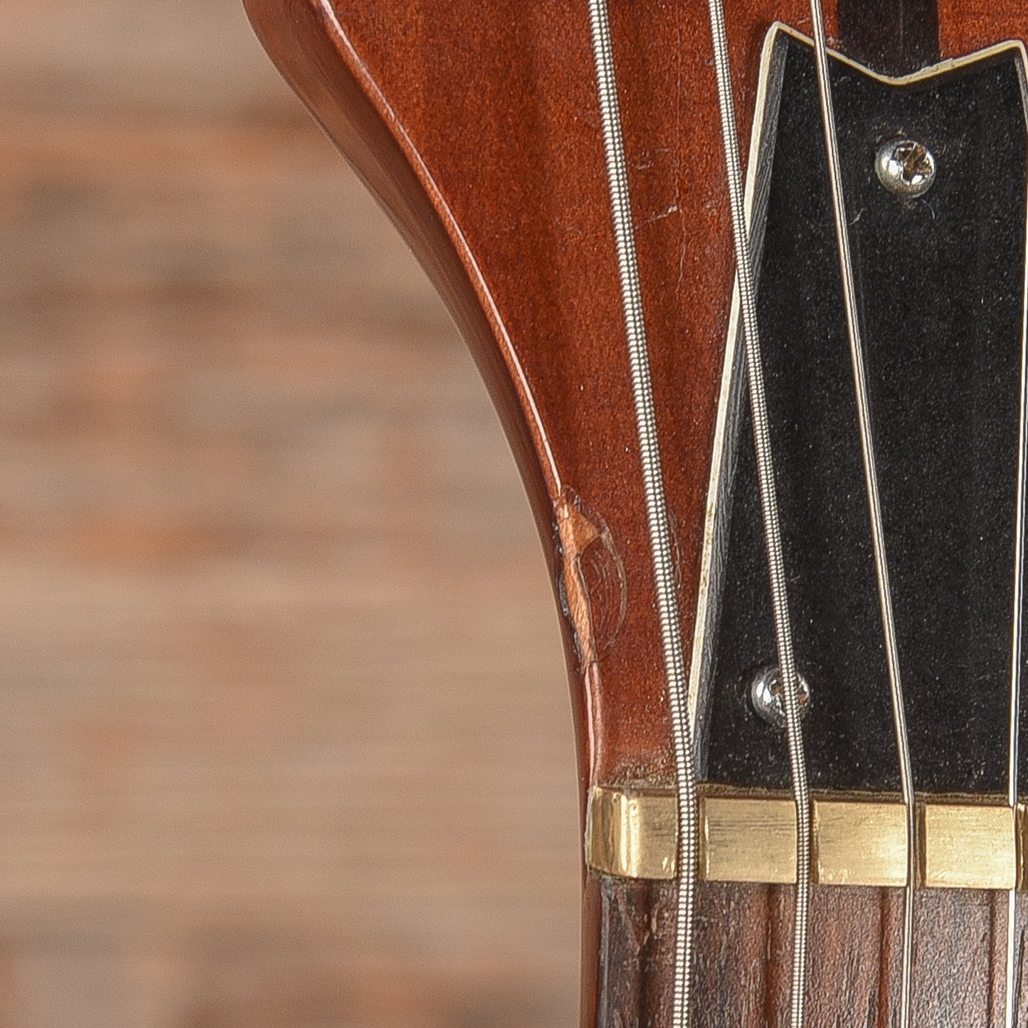 Washburn Hawk Natural 1979 Electric Guitars / Solid Body