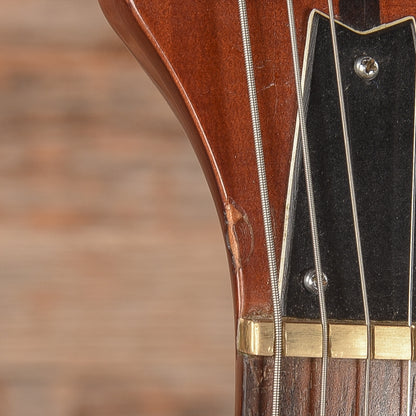 Washburn Hawk Natural 1979 Electric Guitars / Solid Body