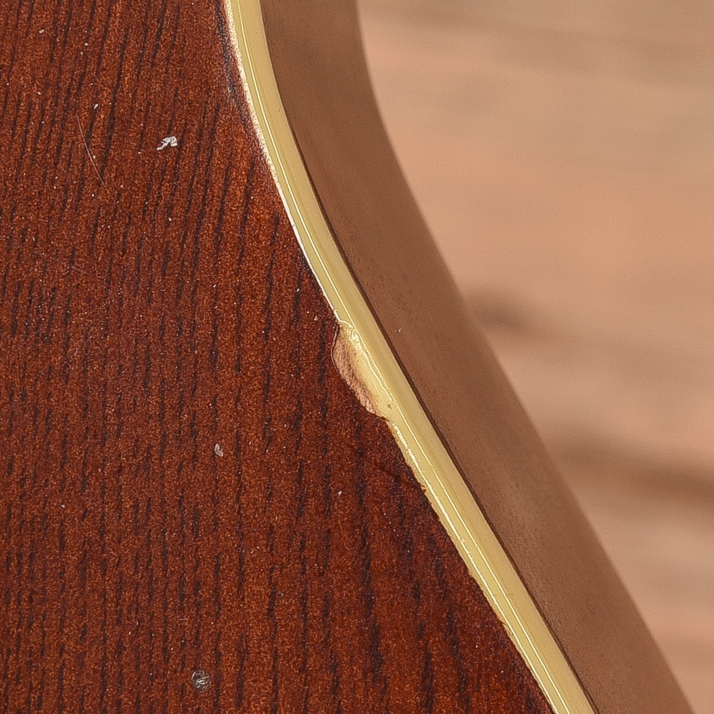 Washburn Hawk Natural 1979 Electric Guitars / Solid Body