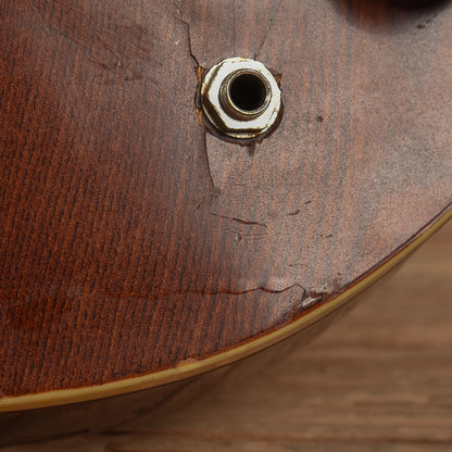 Washburn Hawk Natural 1979 Electric Guitars / Solid Body
